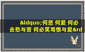 “何悲 何爱 何必去愁与苦 何必笑骂恨与爱”什么意思